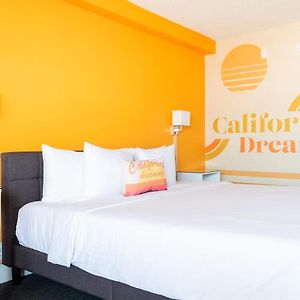 King Room Disability Access